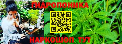 мяу мяу кристалл Тара