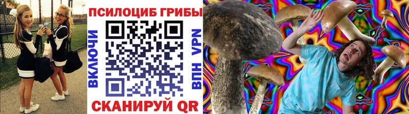 закладка  Северодвинск  hydra   Галлюциногенные грибы мицелий 