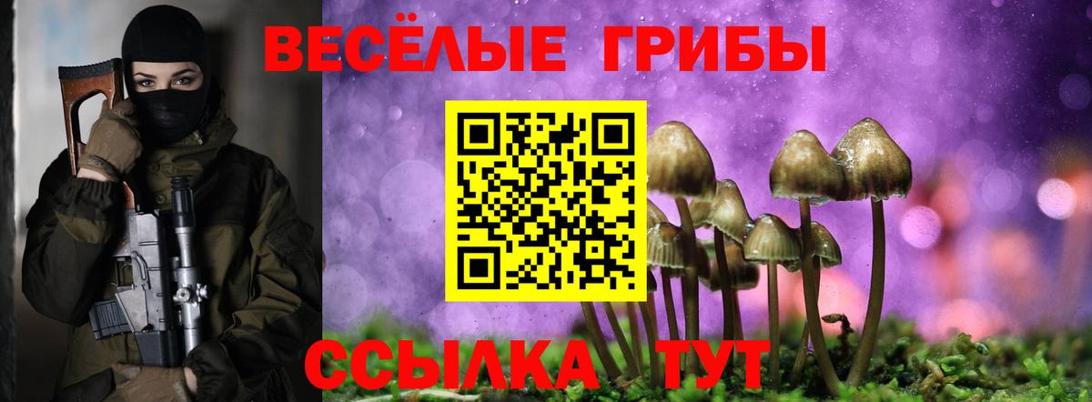 Псилоцибиновые грибы Cubensis Северодвинск